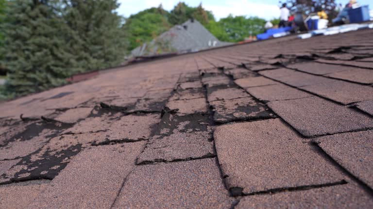 Best Roof Maintenance and Cleaning  in Westwood, PA