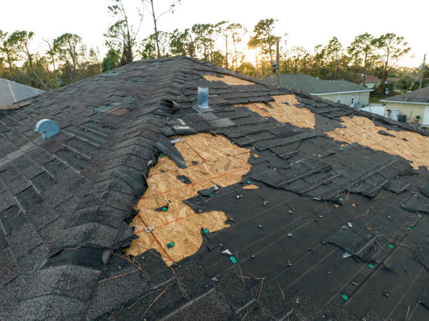 Best Solar Panel Roofing Installation  in Westwood, PA