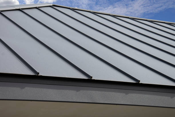 Best Roof Moss and Algae Removal  in Westwood, PA